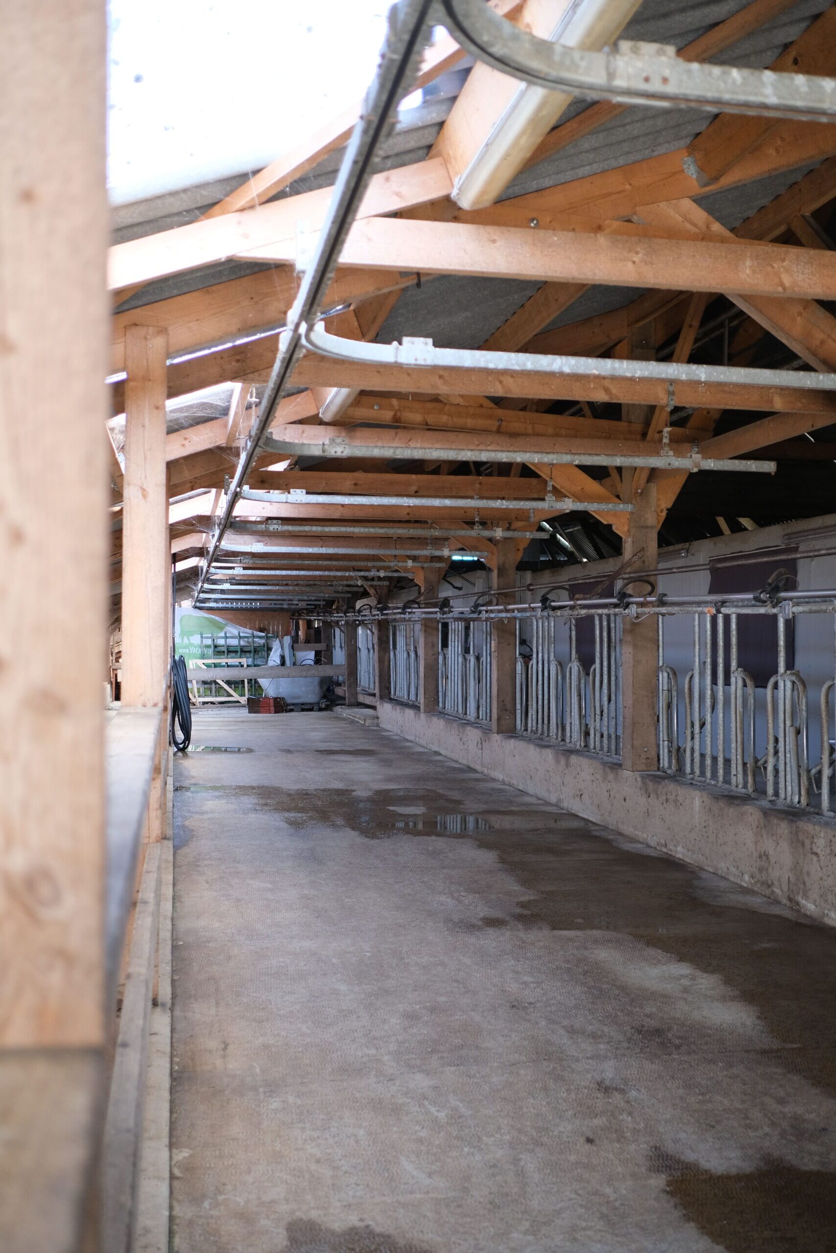 Salle de traite de la ferme fromagère à Sarzeau – production de fromage Tome de Rhuys